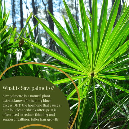 LuxeFlow™ Pumpkin Seed Essence