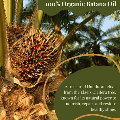 LuxeFlow™ Batana Elixir