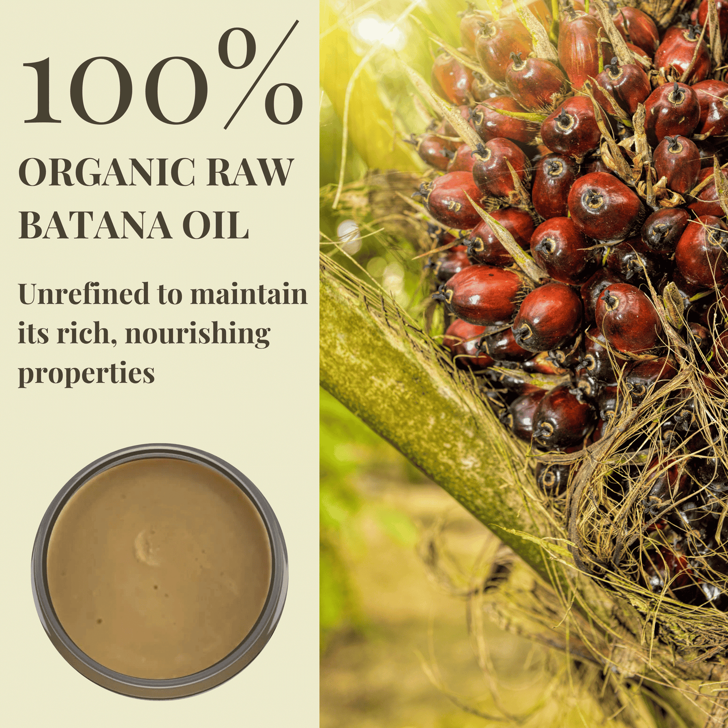 LuxeFlow™ Batana Elixir